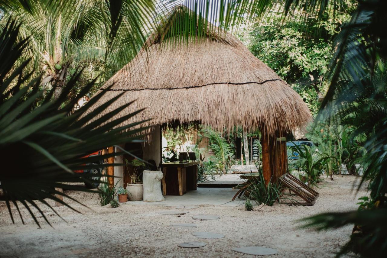 ホテル Akkuun Tulum - Adults Only エクステリア 写真